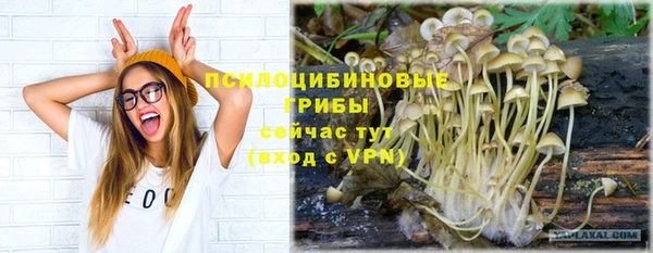 mix Аркадак