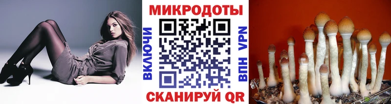 Галлюциногенные грибы мухоморы  Канаш 